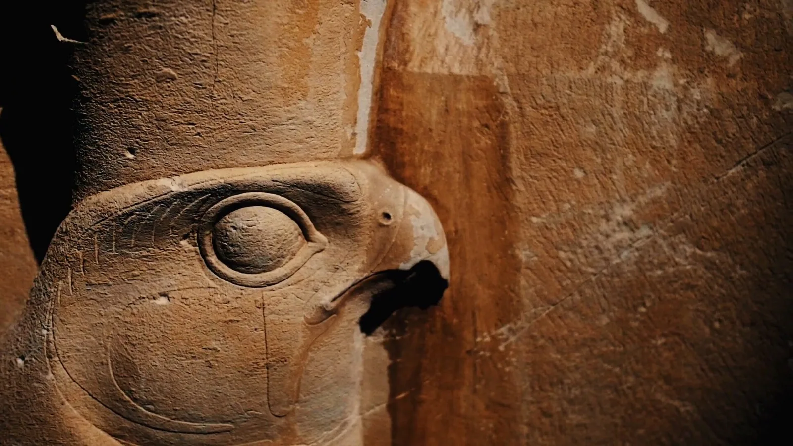 A falcon carved in warm sandstone, its eye and hooked beak standing out in low relief on a temple wall